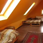 Sowa Sowa * Mikołajki