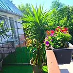 Sowa Sowa Appartement *