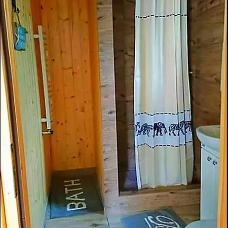 Sowa Sowa * Mikołajki