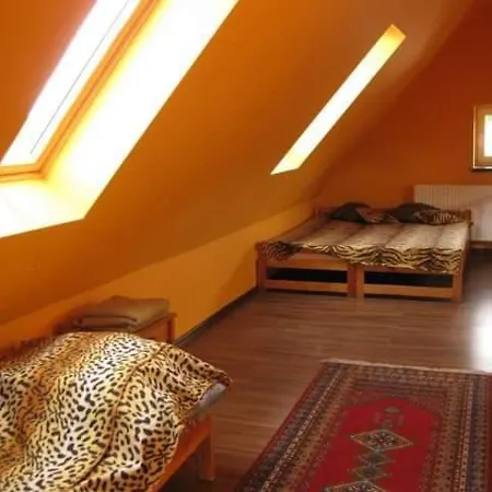 Sowa Sowa * Mikołajki