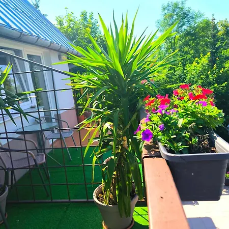 Sowa Sowa Apartmán *