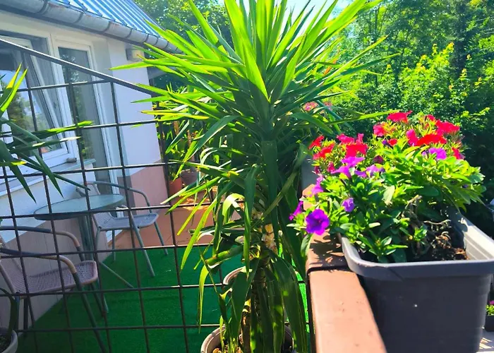 Sowa Sowa Apartment *